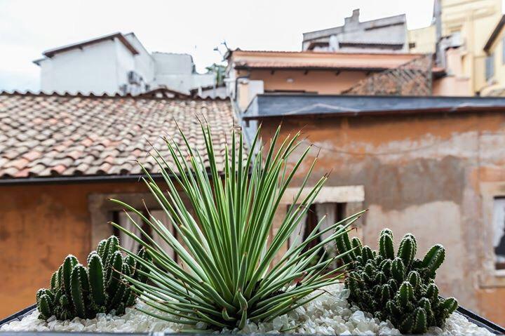 Navona Penthouse Daire Roma Dış mekan fotoğraf